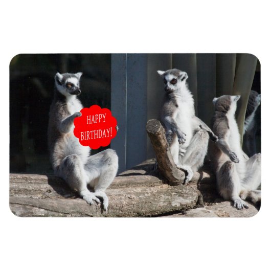 ハッピーバースデーカッタ マグネット (横)