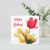 ハッピーバースデーカラフル赤チューリップ黄色粘液 シーズンカード (スタンド正面)