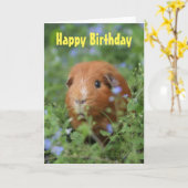 ハッピーバースデーカードかわいいジンジャーモルモット カード (黄色い花)