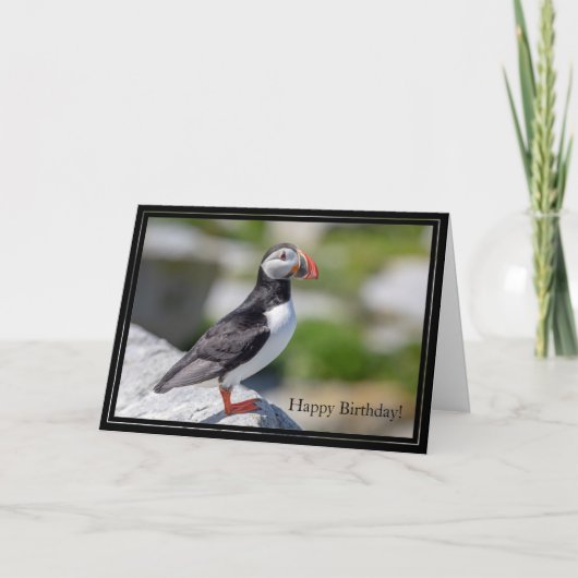 ハッピーバースデーカードアトランティックパフィン カード (正面)