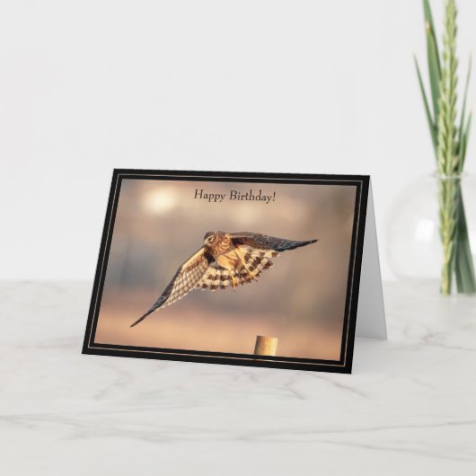 ハッピーバースデーカードノーザンハリアホーク カード (正面)