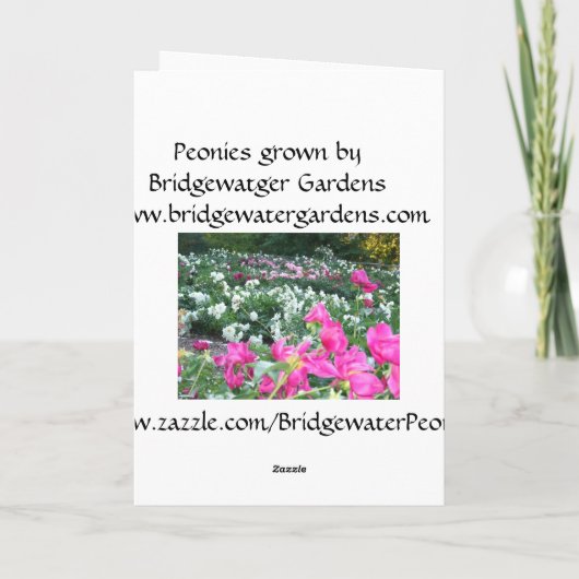 ハッピーバースデーカードピンクの牡丹/牡丹の花 カード (裏面)