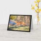 ハッピーバースデーカードレッドキツネ カード (黄色い花)