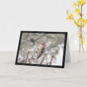 ハッピーバースデーカードレッドベリーズの木ペッカー カード (黄色い花)