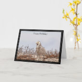 ハッピーバースデーカード雪フクロウ カード (黄色い花)