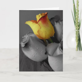 ハッピーバースデーカード – バラ カード