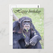 ハッピーバースデーカード ポストカード (正面/裏面)