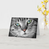 ハッピーバースデーカード:猫が「ああ!」と言う カード (黄色い花)