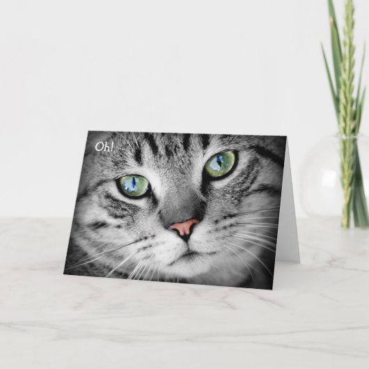 ハッピーバースデーカード:猫が「ああ!」と言う カード (正面)