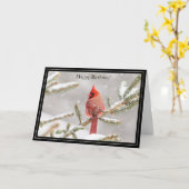 ハッピーバースデーカード(鳥)ショウジョウコウカンチョウ カード (黄色い花)