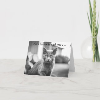 ハッピーバースデーカード: Gray Cat カード