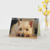ハッピーバースデーカード- Westieカード カード (黄色い花)