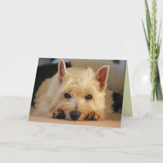 ハッピーバースデーカード- Westieカード カード