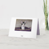 ハッピーバースデーキッチンペアインザパープルベッド カード (裏面)