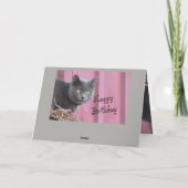 ハッピーバースデーキティ猫カード カード (裏面)