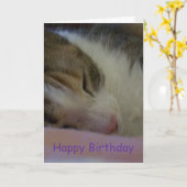 ハッピーバースデークリスチャン・カード猫 カード (黄色い花)