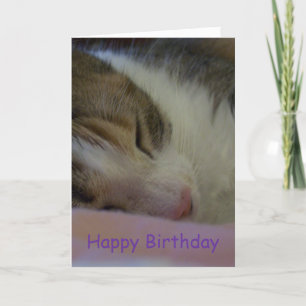 ハッピーバースデークリスチャン・カード猫 カード