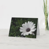 ハッピーバースデーグリーティングカード カード (裏面)