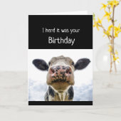 ハッピーバースデーケーキ嗅ぎ牛のおもしろいユーモア カード (黄色い花)