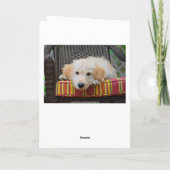 ハッピーバースデーゴールデンドードルパピー カード (裏面)