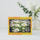 ハッピーバースデーサンシャイン ポストカード (スタンド正面)