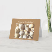 ハッピーバースデーシェルズサニーサマートロピカルビーチ カード (裏面)