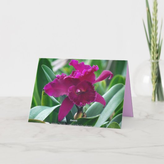 ハッピーバースデーシスターファレノプシスオーキッドカード カード (裏面)