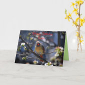 ハッピーバースデーシスターメス（鳥）ショウジョウコウカンチョウ カード (黄色い花)