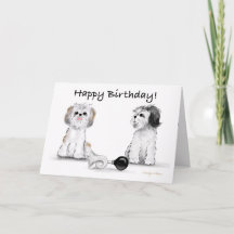 ハッピーバースデーシツズ