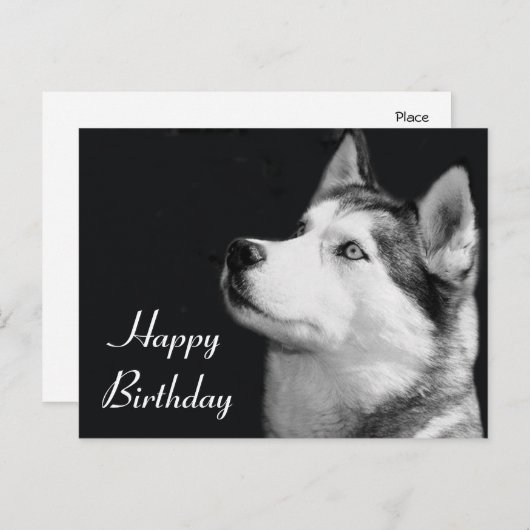 ハッピーバースデーシベリアハスキー犬ポストカード ポストカード (正面/裏面)