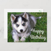 ハッピーバースデーシベリアンハスキー子犬のはがき ポストカード (正面/裏面)