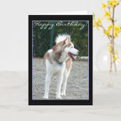 ハッピーバースデーシベリア・ハスキーのグリーティングカード カード (黄色い花)