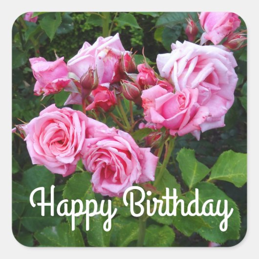 ハッピーバースデージーン・ボアナーバラ#3シール スクエアシール (正面)