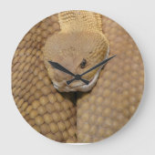 ハッピーバースデースネーククロック ラージ壁時計 (正面)