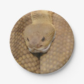 ハッピーバースデースネークパーティープレート ペーパープレート (正面)