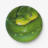 ハッピーバースデースネークパーティープレート ペーパープレート (正面)