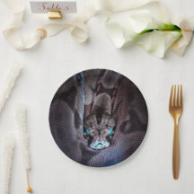 ハッピーバースデースネークパーティープレート