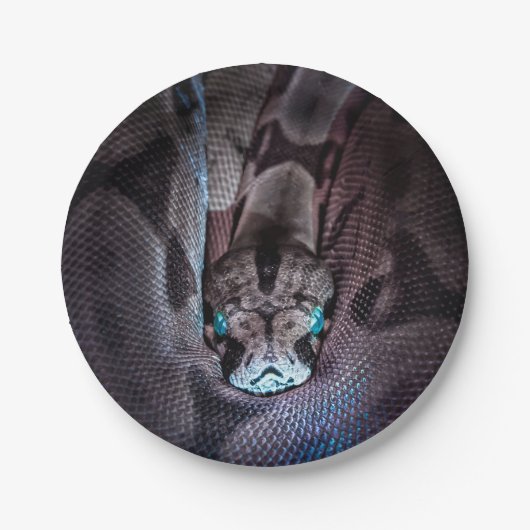 ハッピーバースデースネークパーティープレート ペーパープレート (正面)