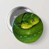 ハッピーバースデースネークボタン 缶バッジ (正面&裏面)