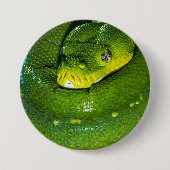 ハッピーバースデースネークボタン 缶バッジ (正面)