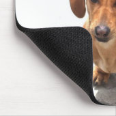 ハッピーバースデーダシュントマウスパッド マウスパッド (コーナー)