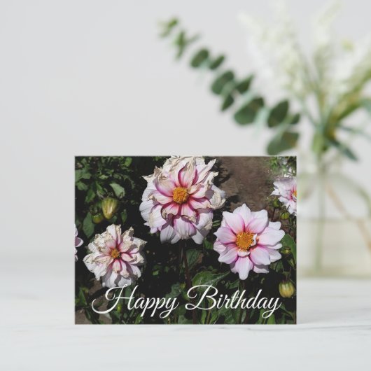 ハッピーバースデーダリアエッジオブジョイ#1ポストカード ポストカード (スタンド正面)