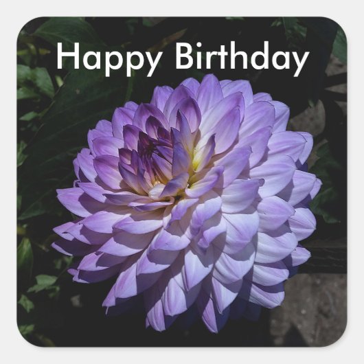 ハッピーバースデーダリアベアパラダイス#1ステッカー スクエアシール (正面)