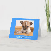 ハッピーバースデーチワホアパピーグリーティングカード カード (裏面)