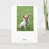 ハッピーバースデーチワホアパピーグリーングリーティングカード カード (裏面)