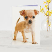 ハッピーバースデーチワホアパピードッググリーティングカード カード (黄色い花)