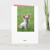 ハッピーバースデーチワワピンクグリーティングカード カード (裏面)