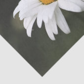 ハッピーバースデーデイジー組織 薄葉紙 (詳細)