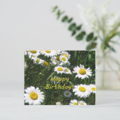 ハッピーバースデーデイジー ポストカード (スタンド正面)