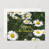 ハッピーバースデーデイジー ポストカード (正面/裏面)
